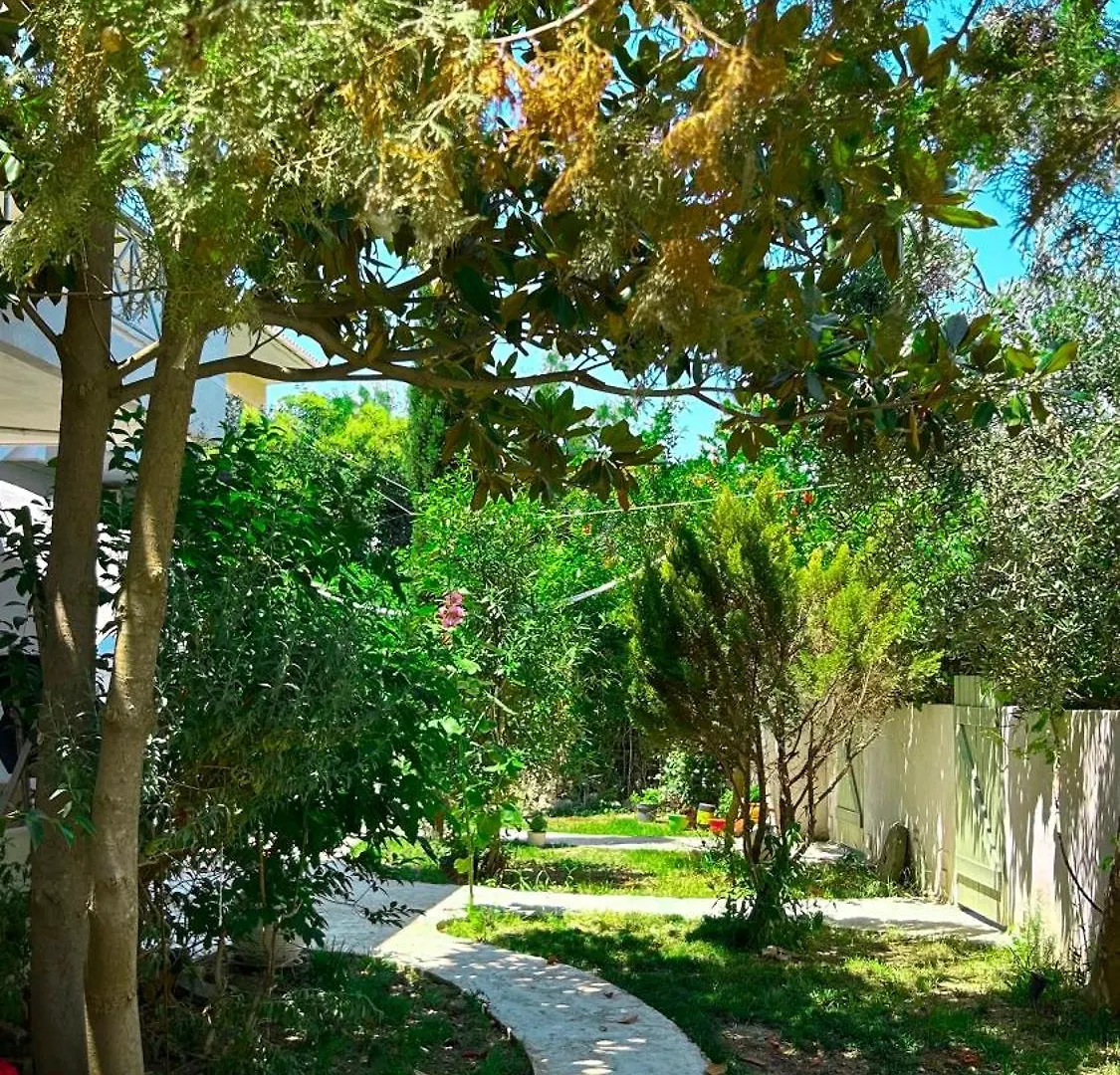 Anthonas House Lägenhet Nikiti   Nikiti (Sithonia)