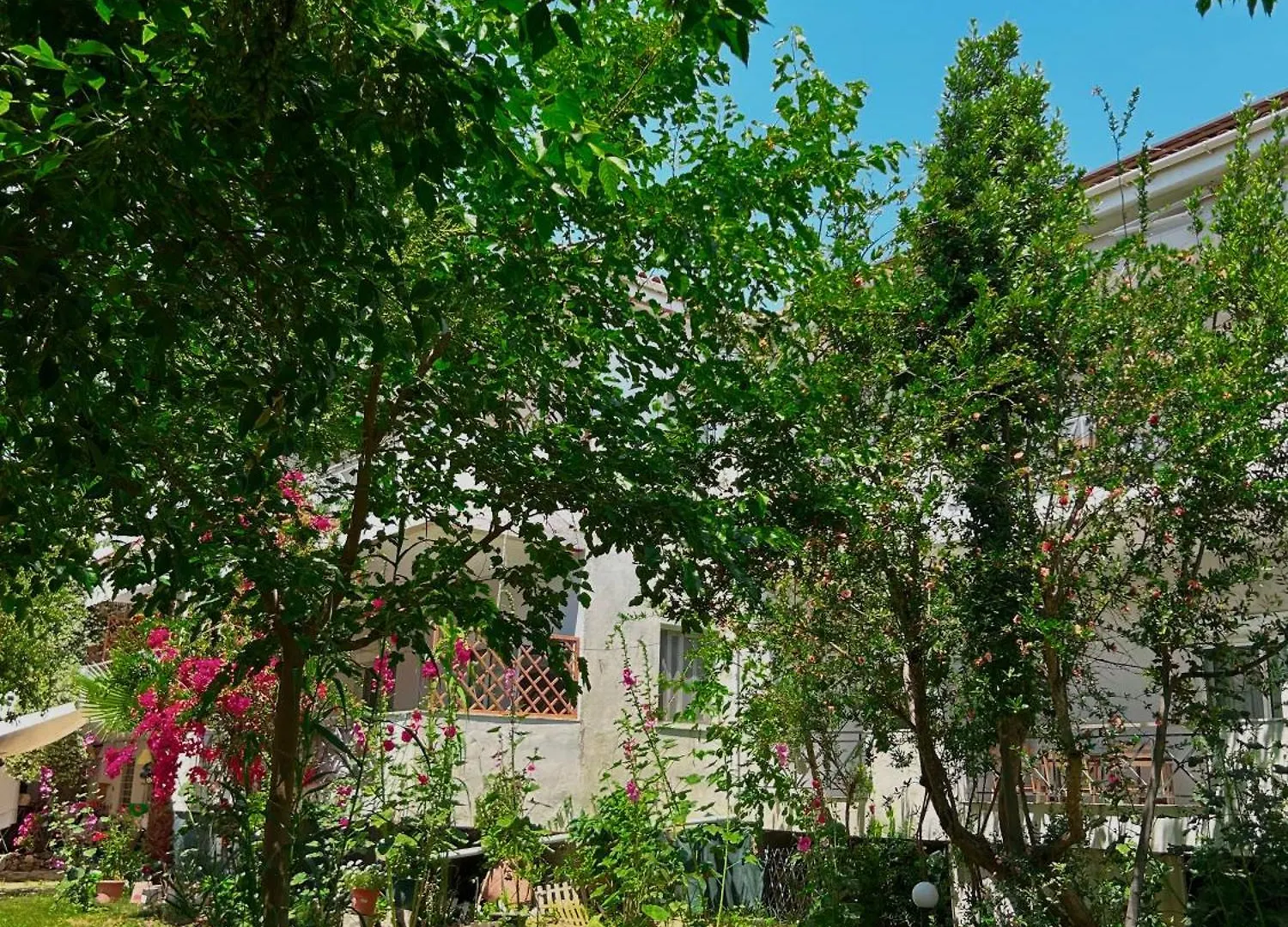 Anthonas House Lägenhet Nikiti   Nikiti (Sithonia)